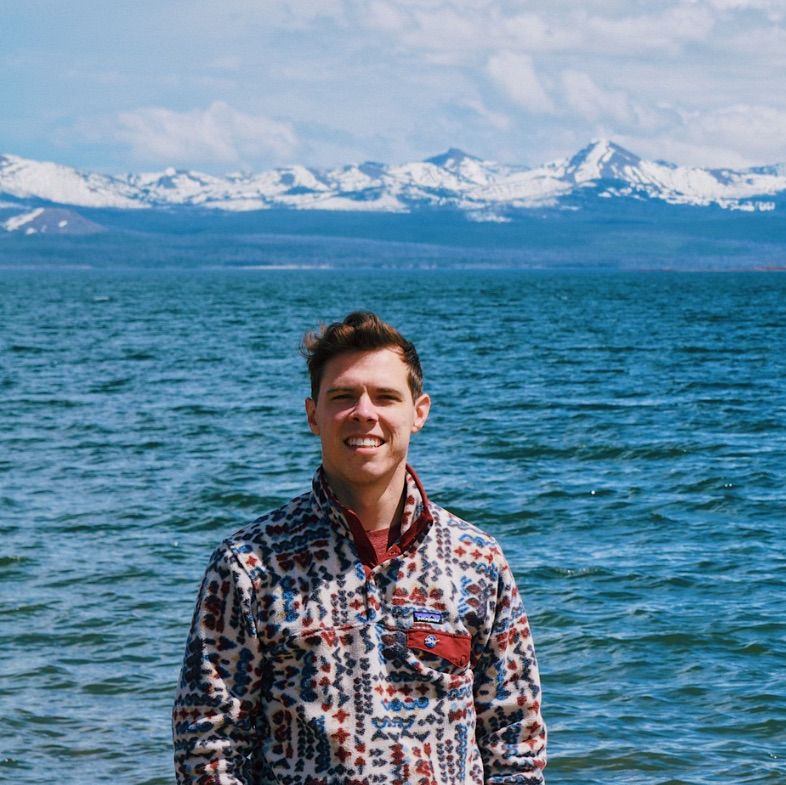 Profile of Alessio Gardi