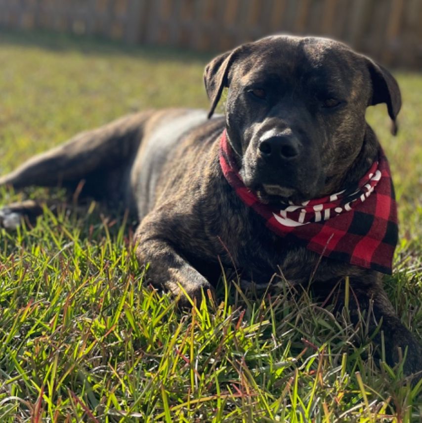 Profile of Josh Weber