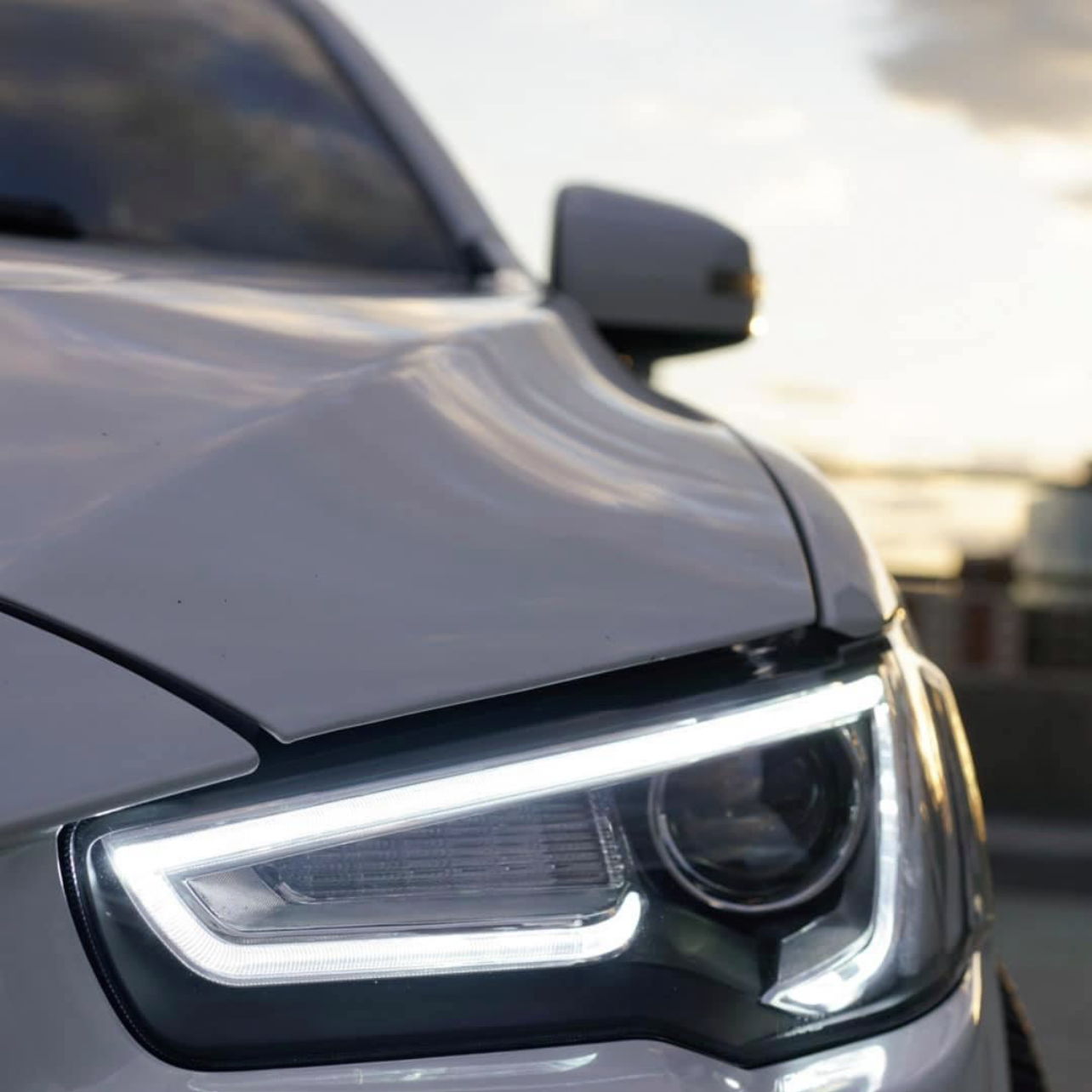 Profile of Sigfredo Sanchez