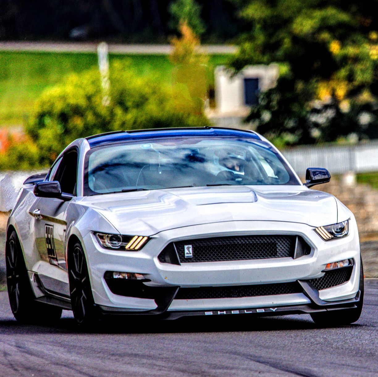 Profile of Michael Johnson