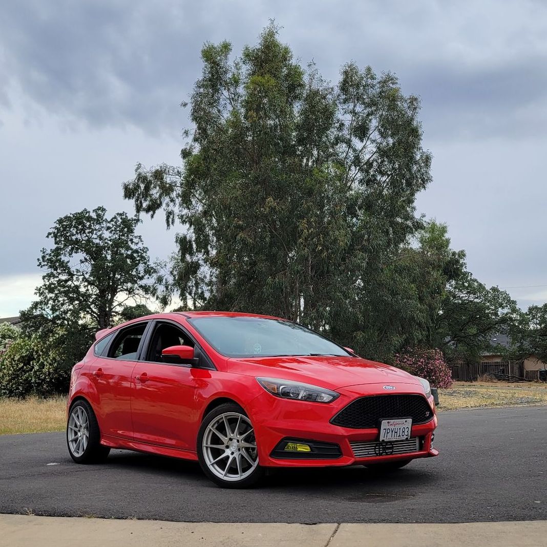 Profile of Robert Adamscheck