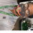 Profile of Jaunenito P