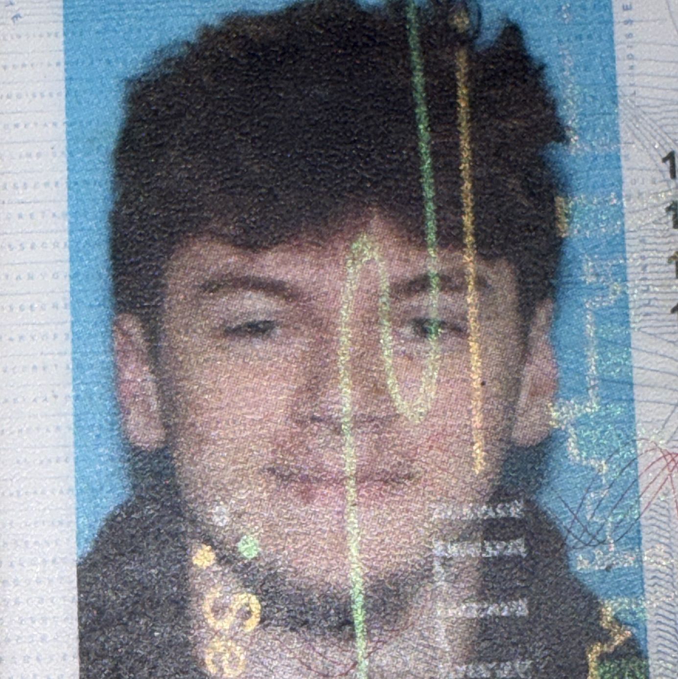 Profile of Collin Svarc