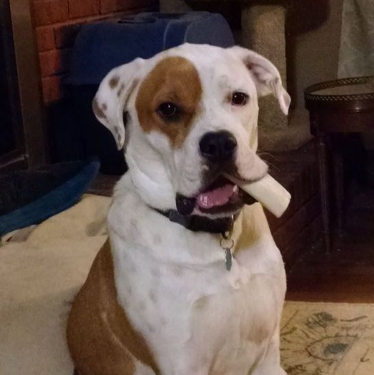 Profile of Micah Sweeney