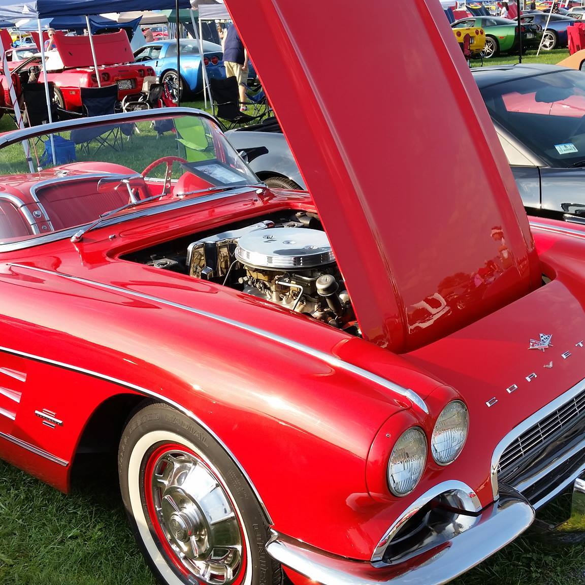 Profile of Kenneth Lowe