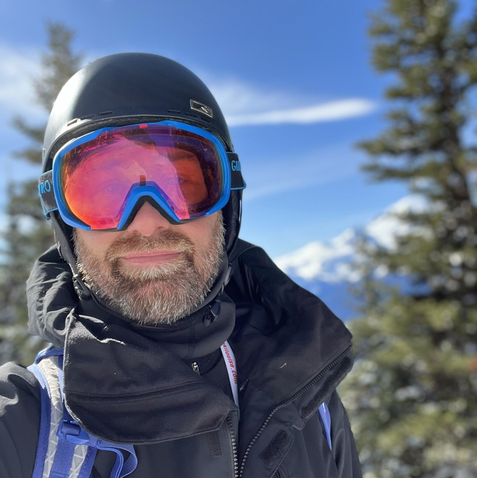 Profile of James Collyer