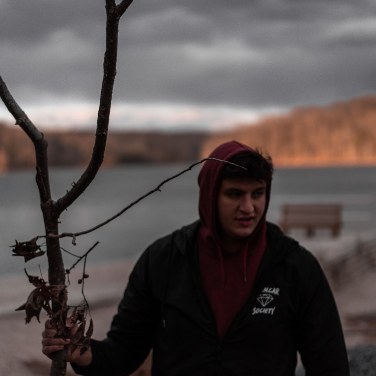 Profile of Omar Gharib