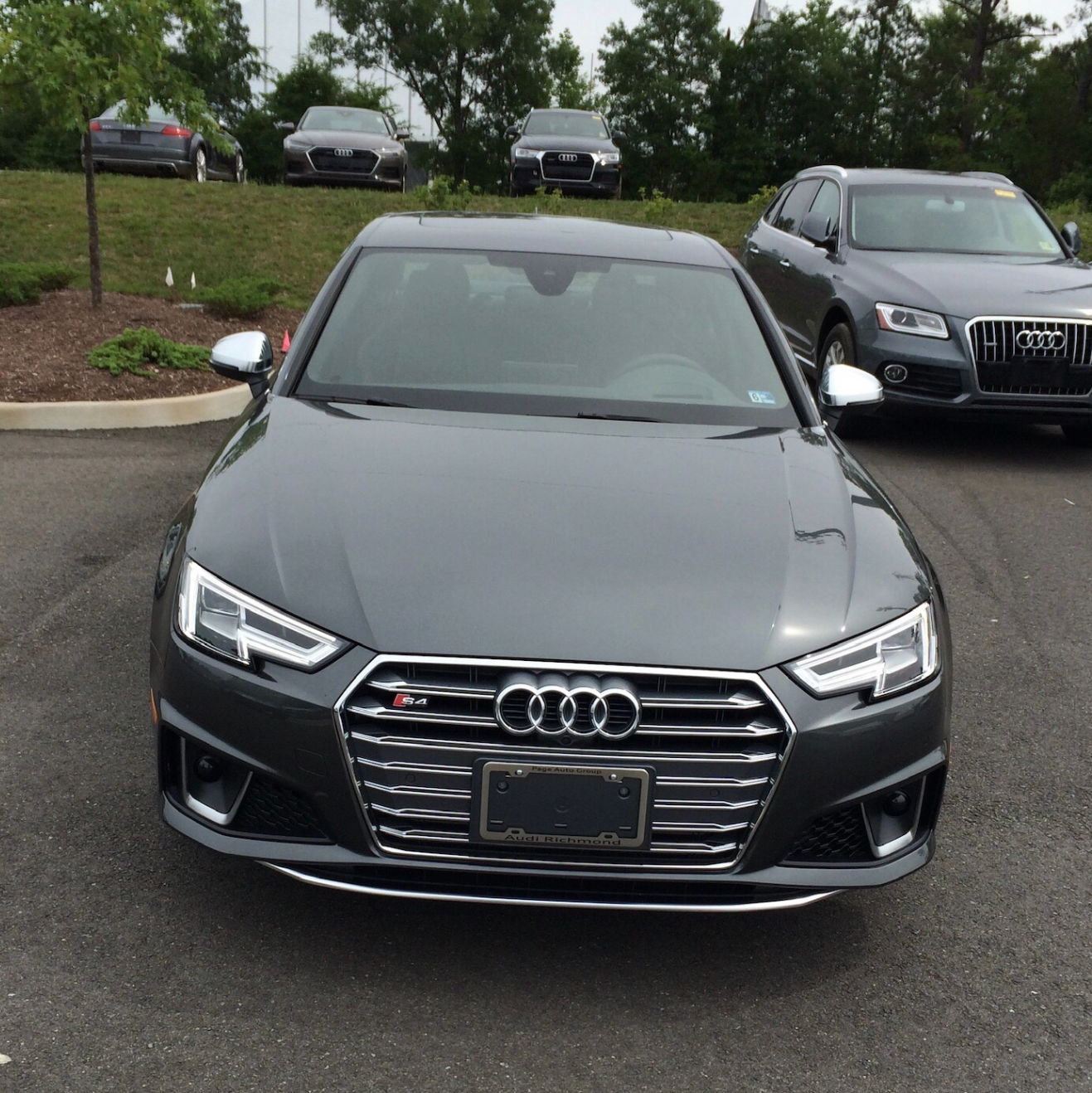 Profile of Walid Nazari