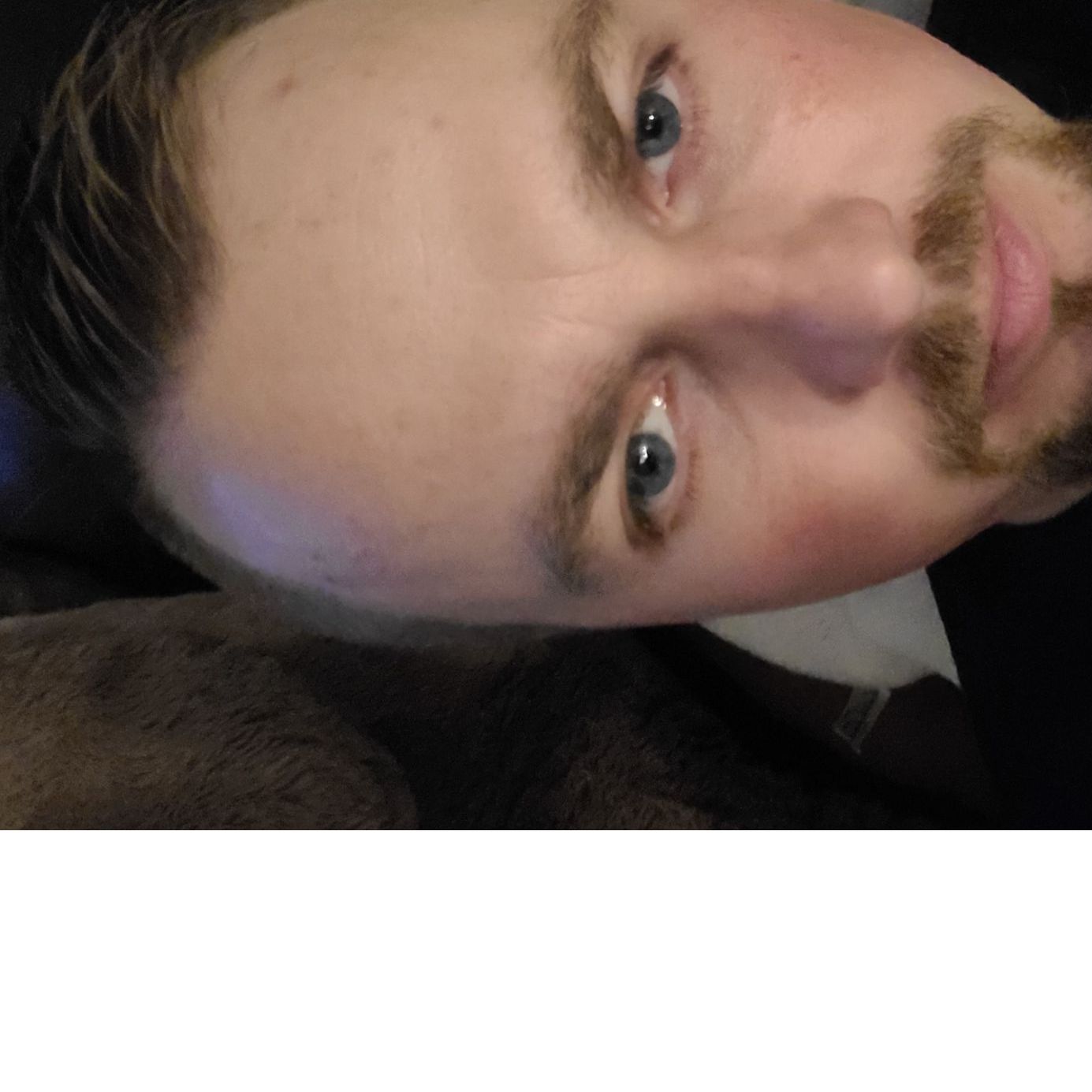 Profile of Raimonds Zviedris