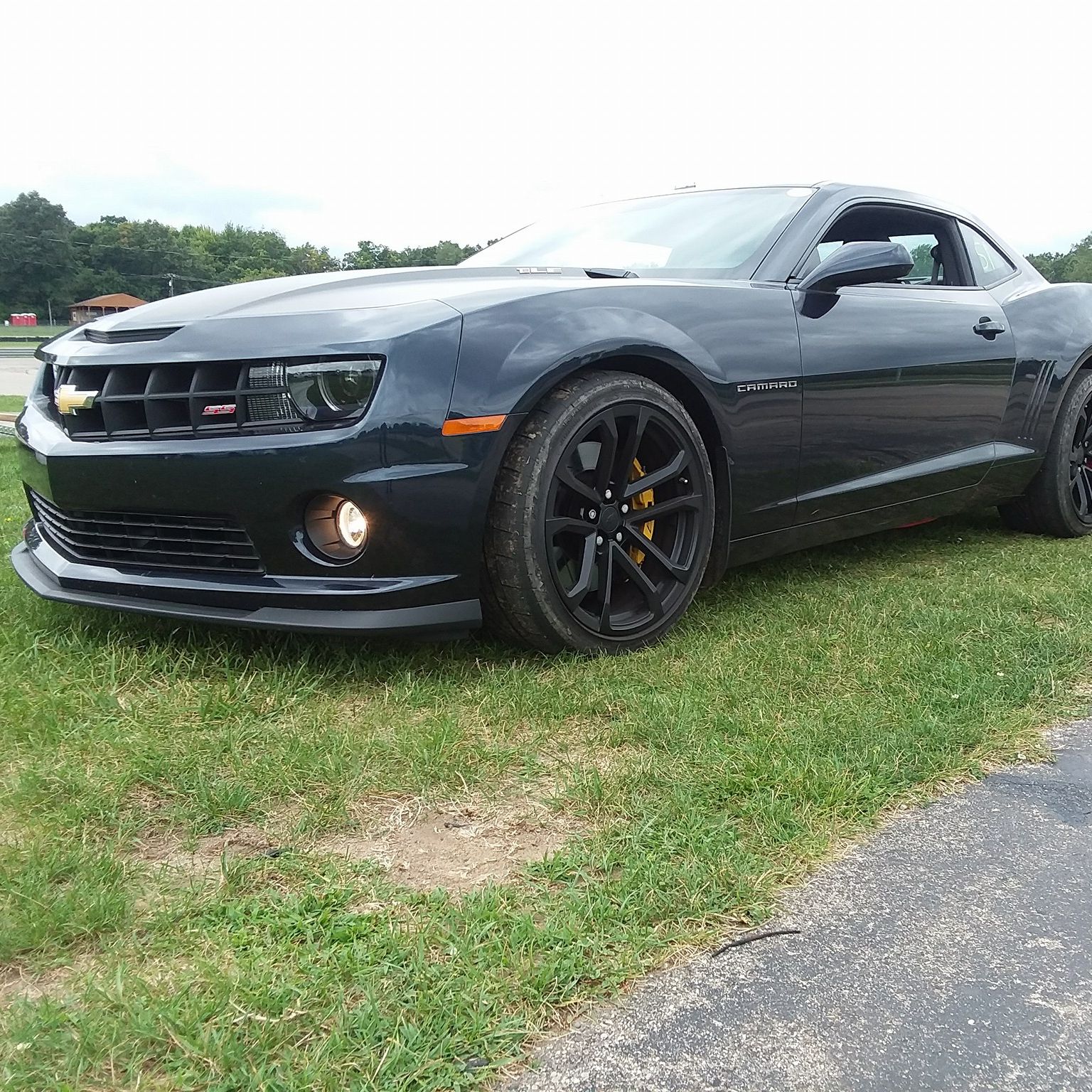 Profile of Tyler Greenhil