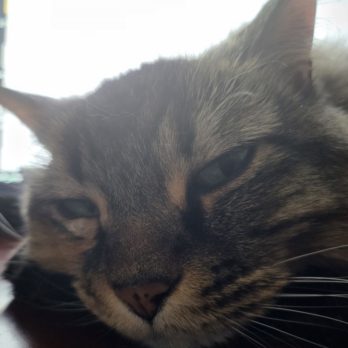 Profile of John Thompkins