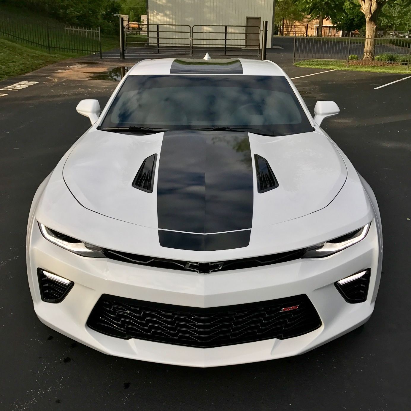 Profile of Samuel Alexander