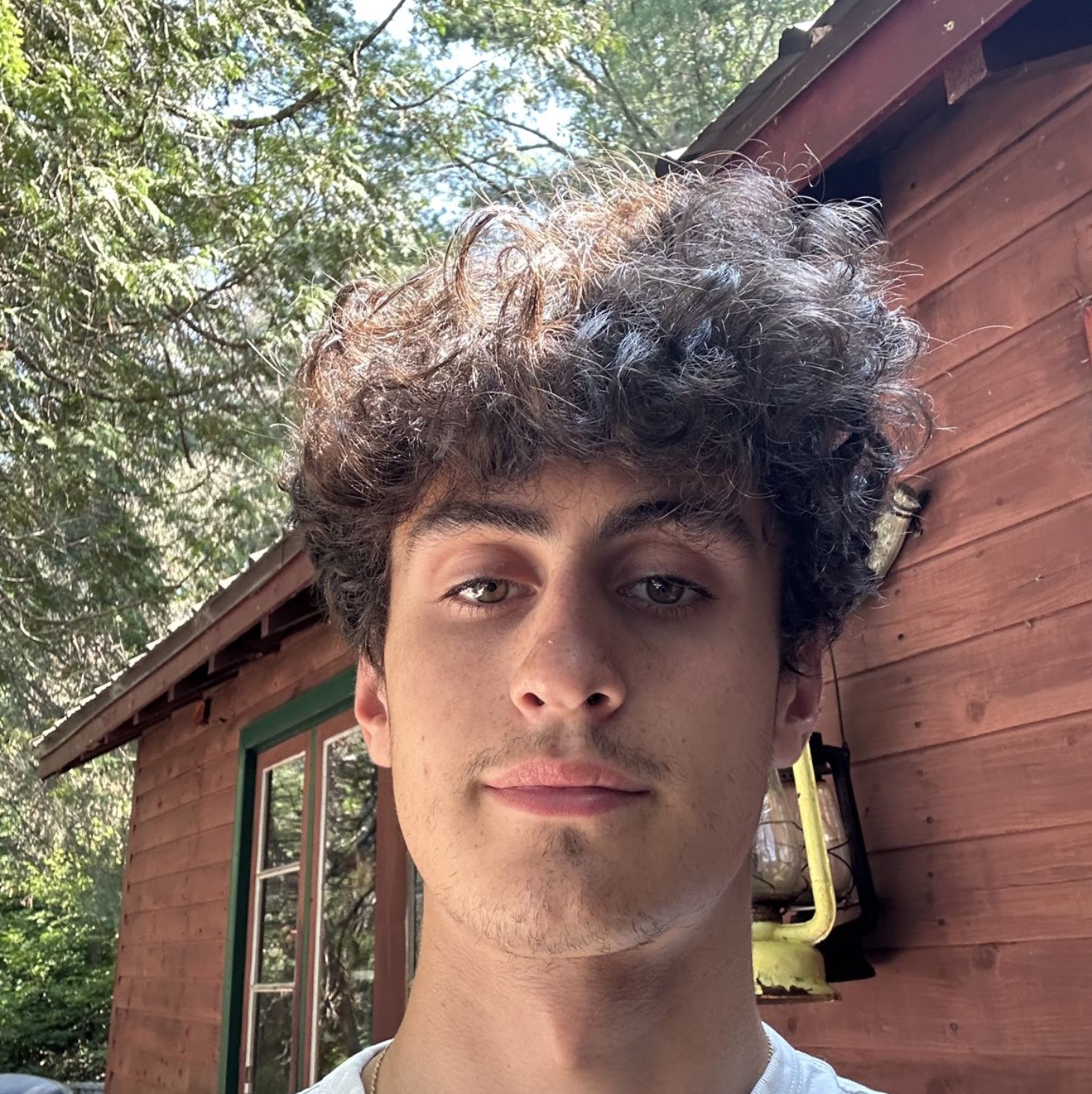 Profile of Ian Lewis