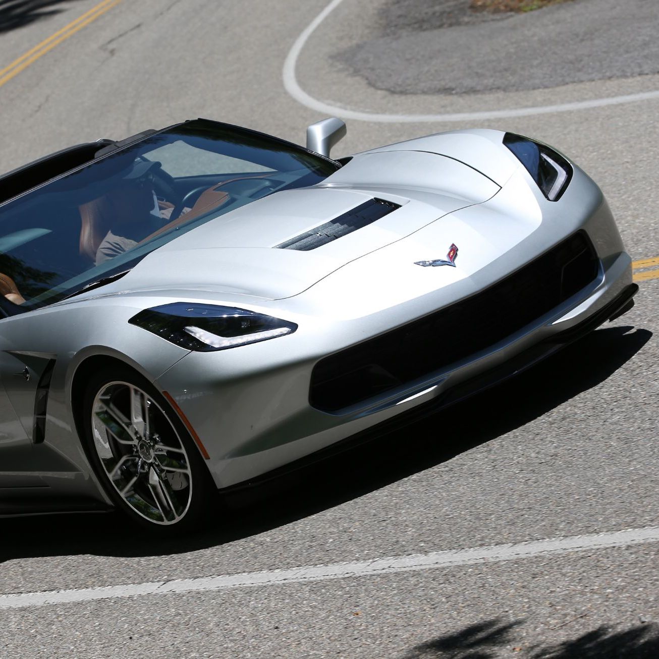 Profile of Steve Pacifico