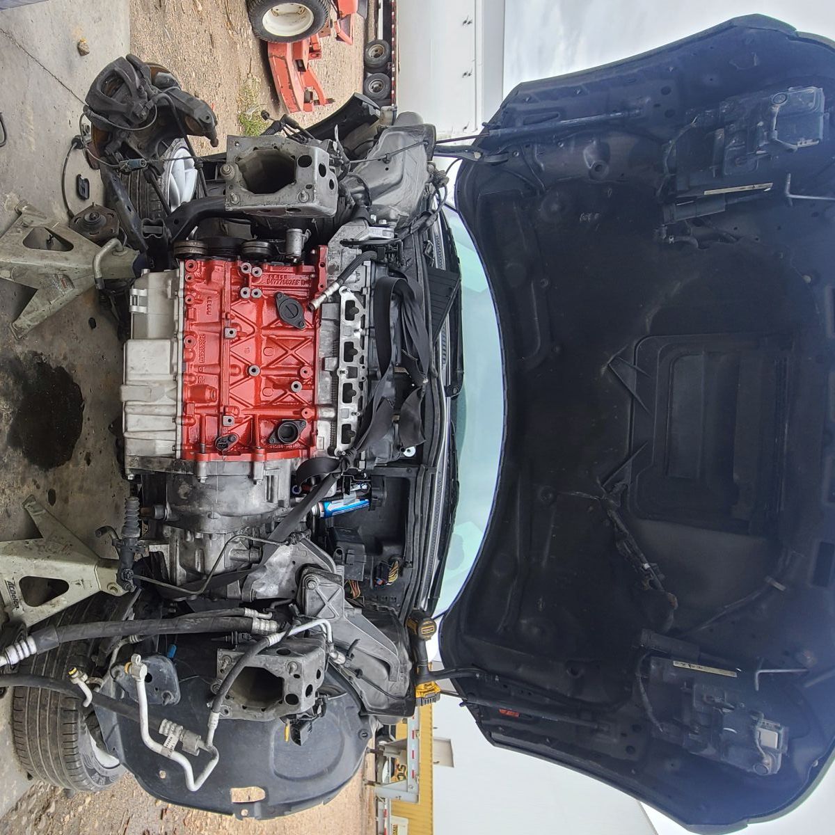 Profile of Don Johnson