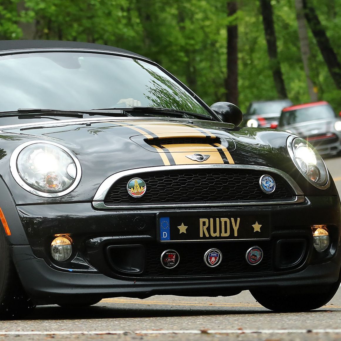 Profile of David Roberts