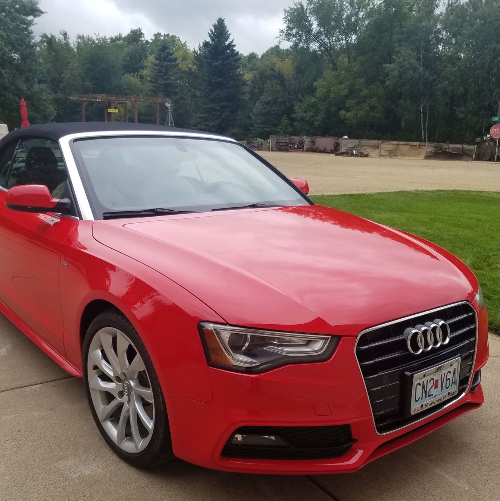 Profile of Myron Grabowski