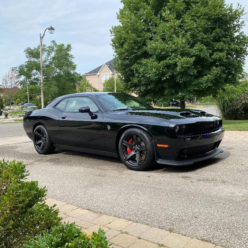 Profile of Frank Hey