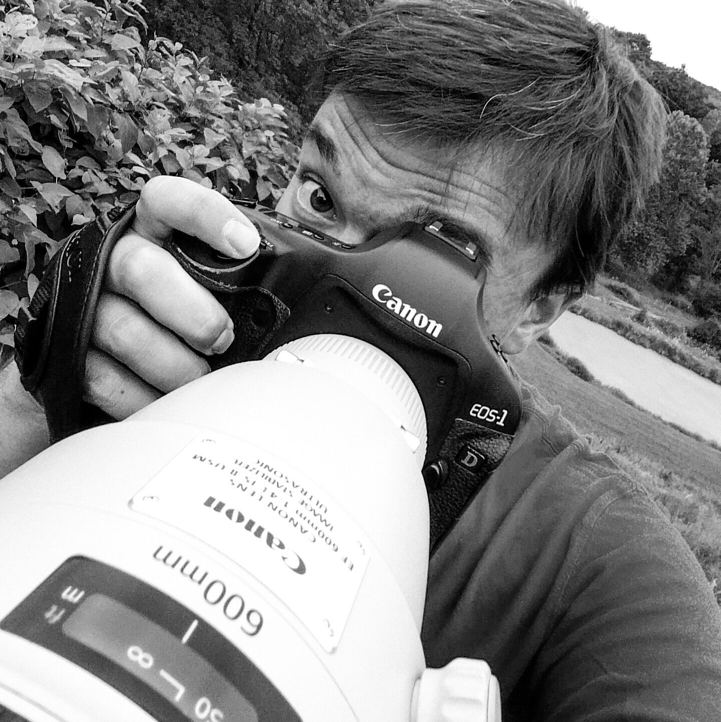 Profile of Randy Cresci