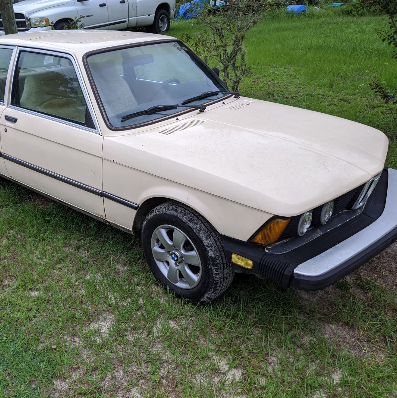 Profile of Joseph Masseo