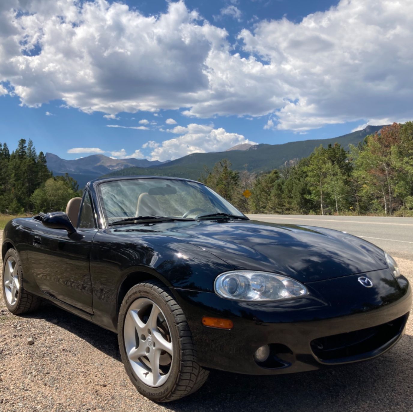 Profile of Stephen Pokorski