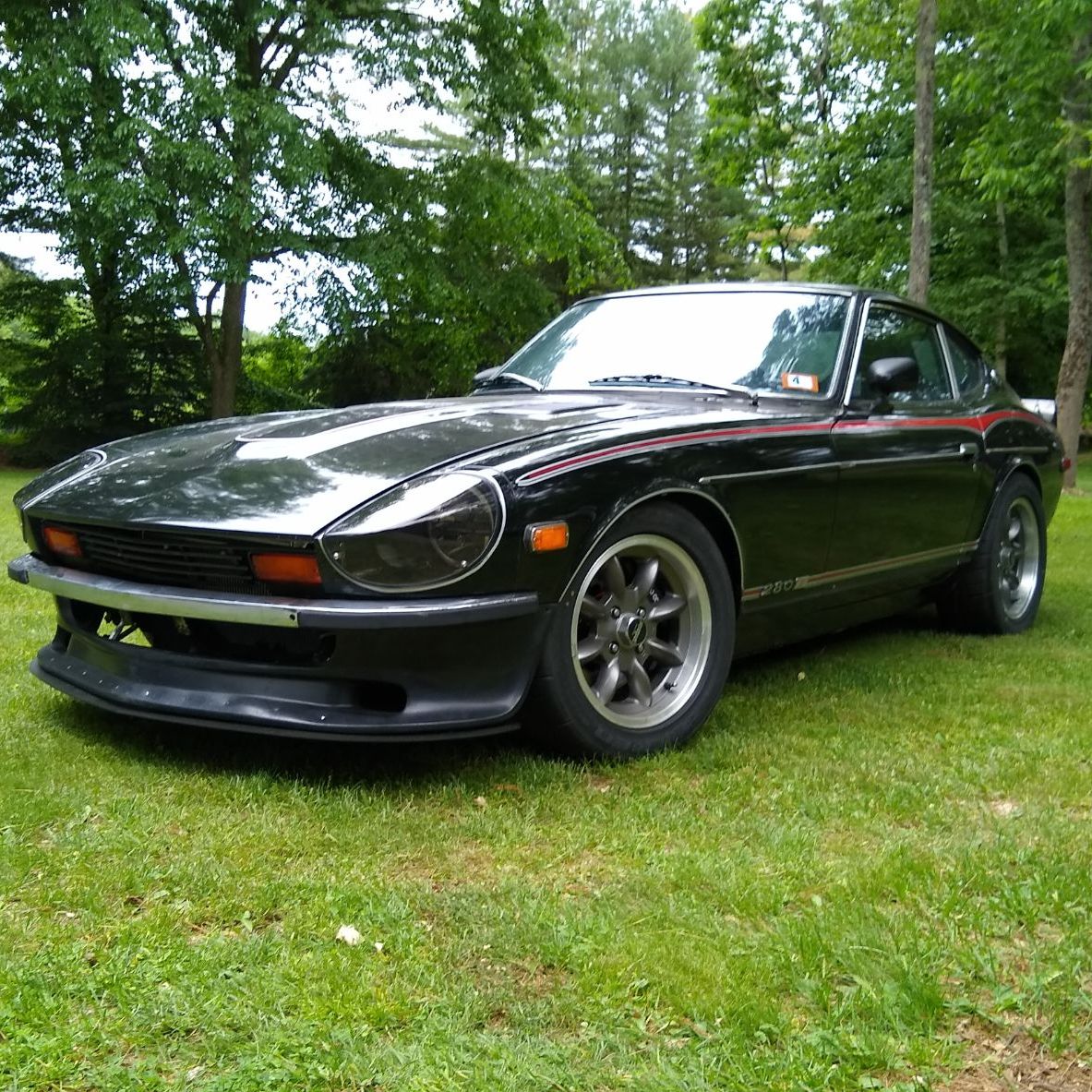 Profile of Forrest Osterman