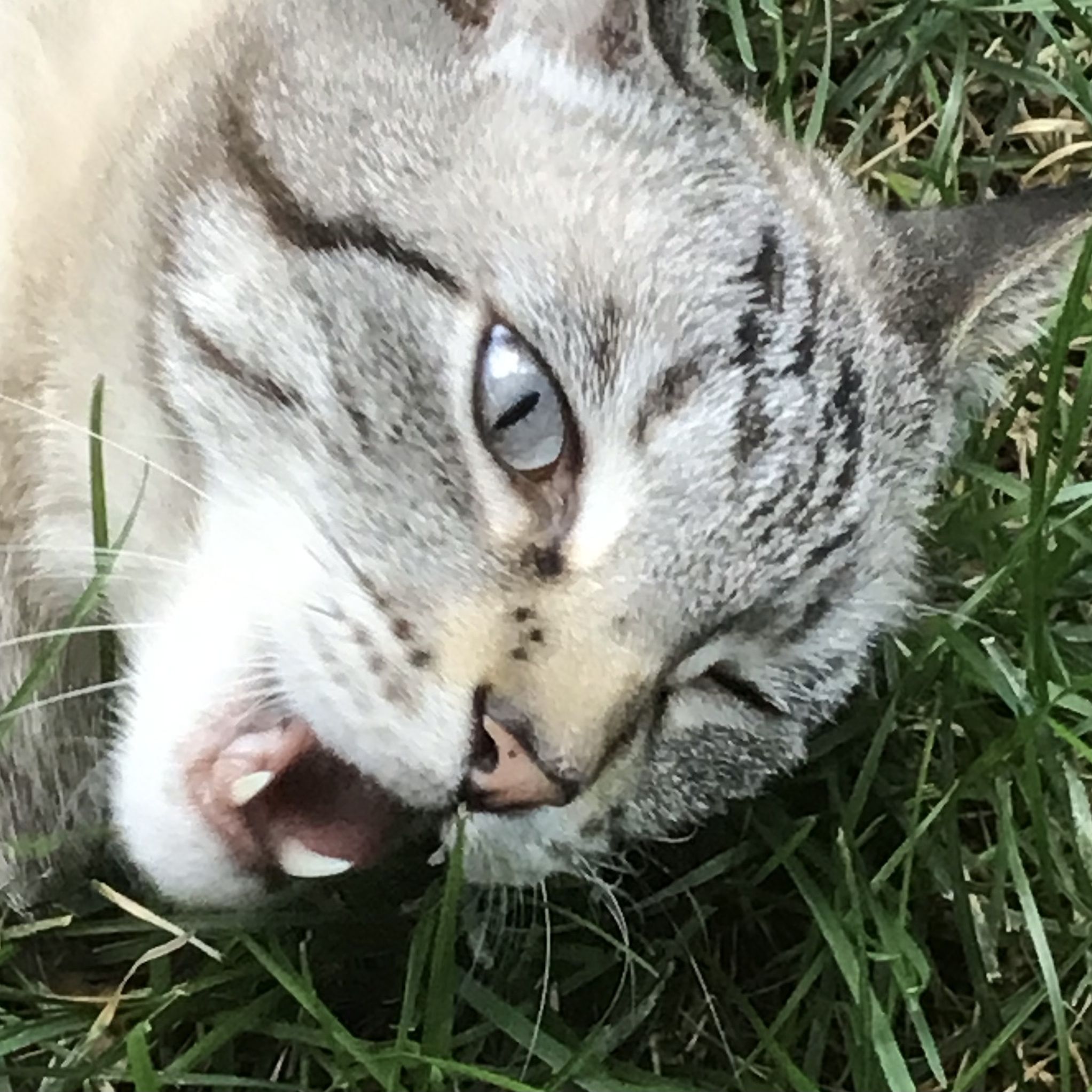 Profile of Chris Blair