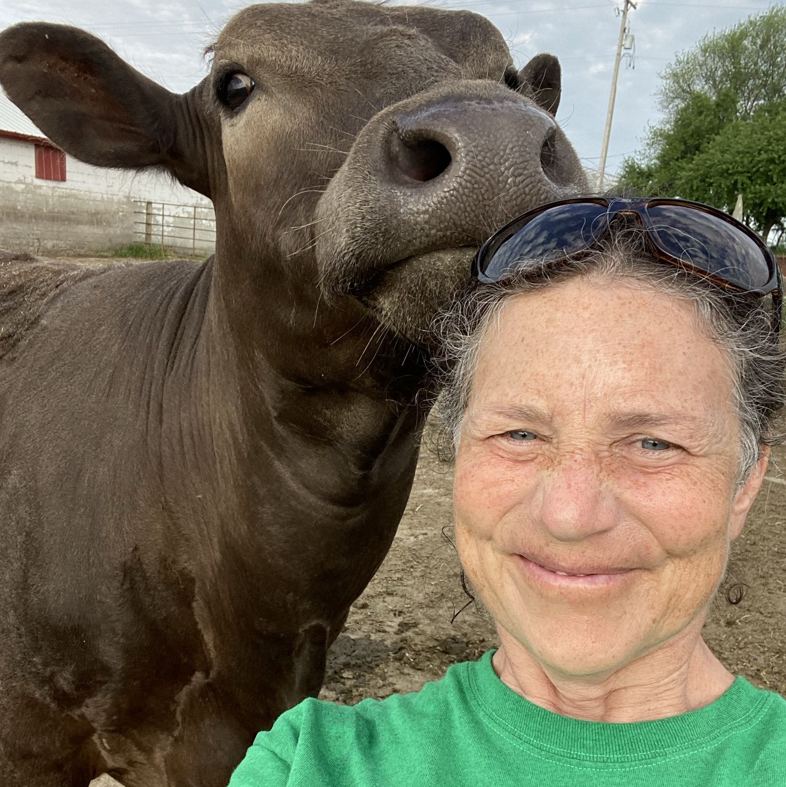 Profile of Cathy Drexler