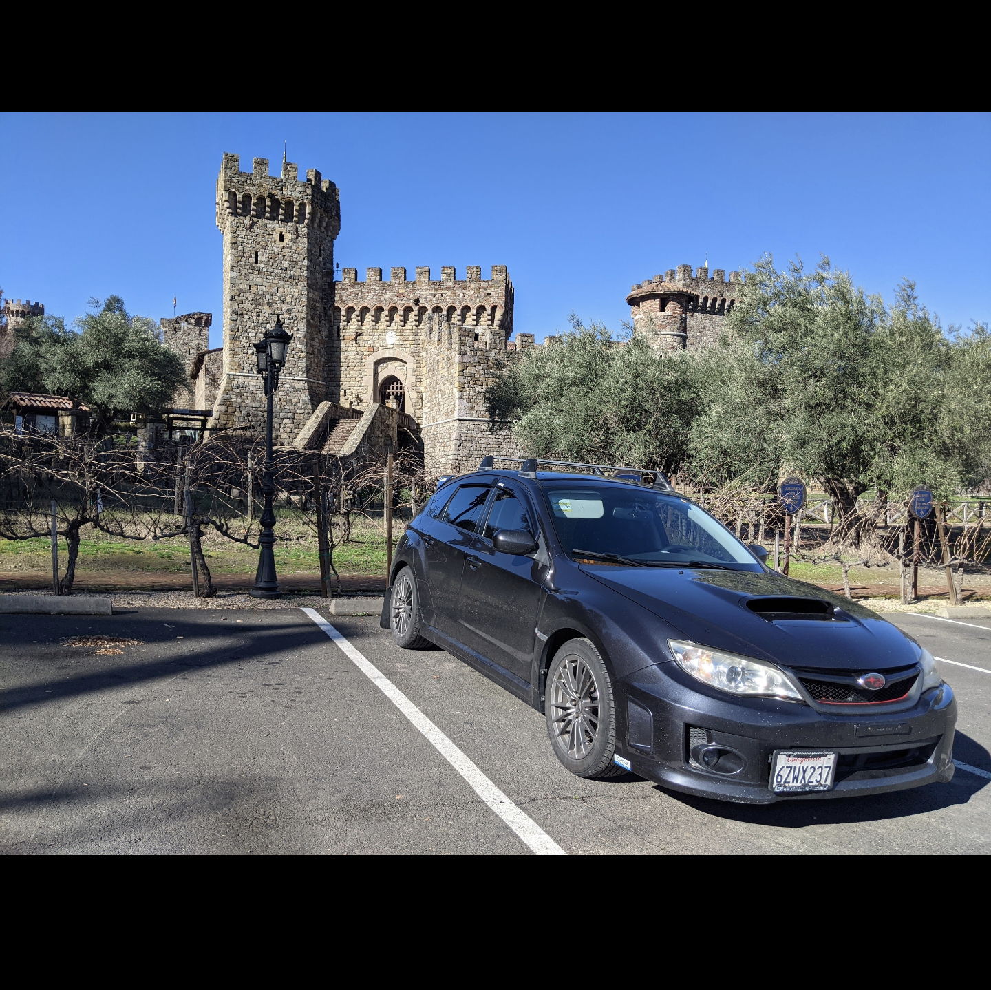 Profile of Remark Quinones