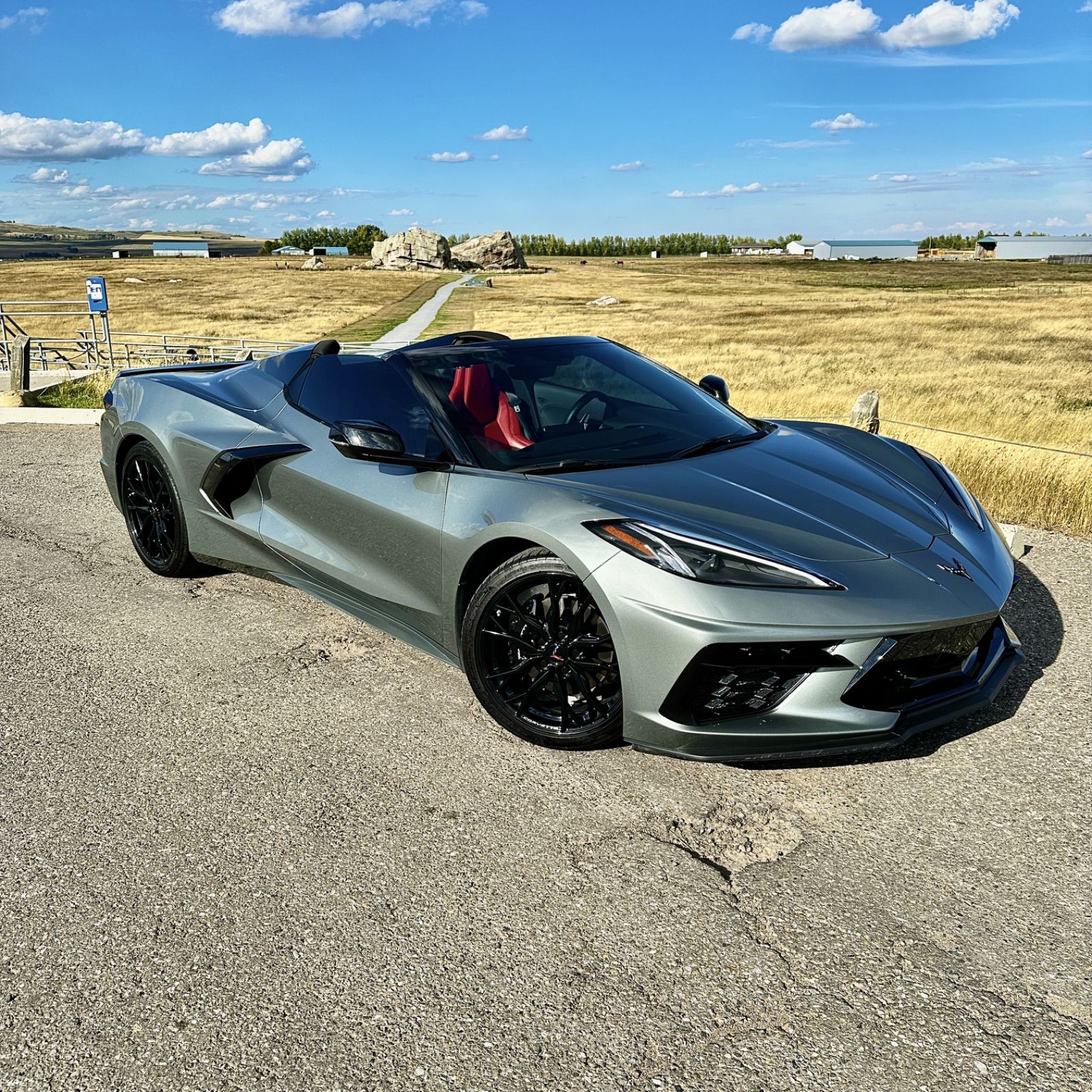 Profile of Daryl Stewart