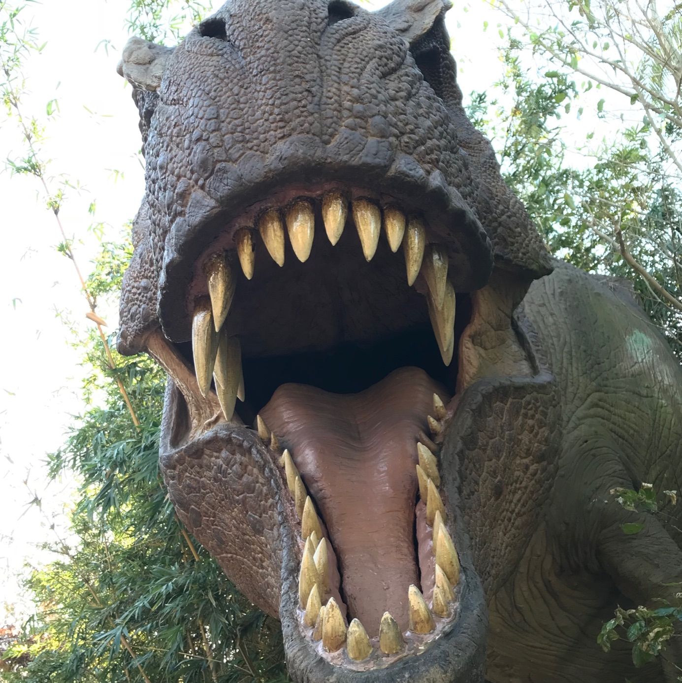 Profile of James Obloza