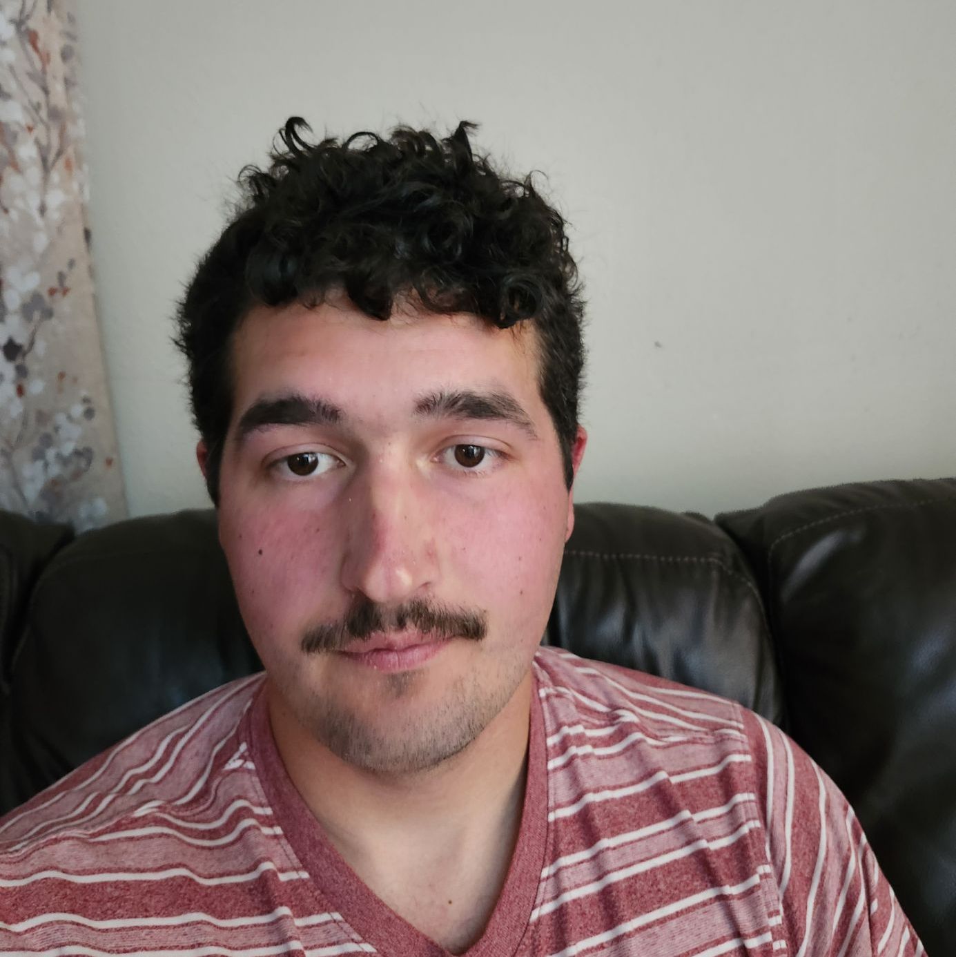 Profile of Josh Harris