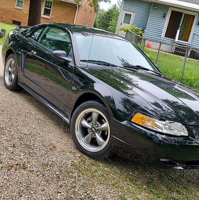 Profile of Skylar Clement