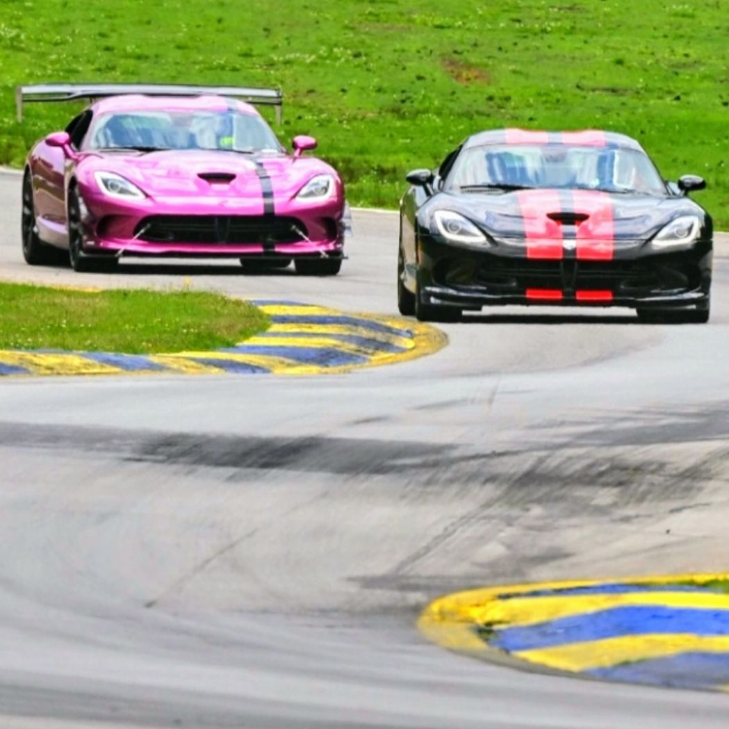 Profile of Wayne Carrel