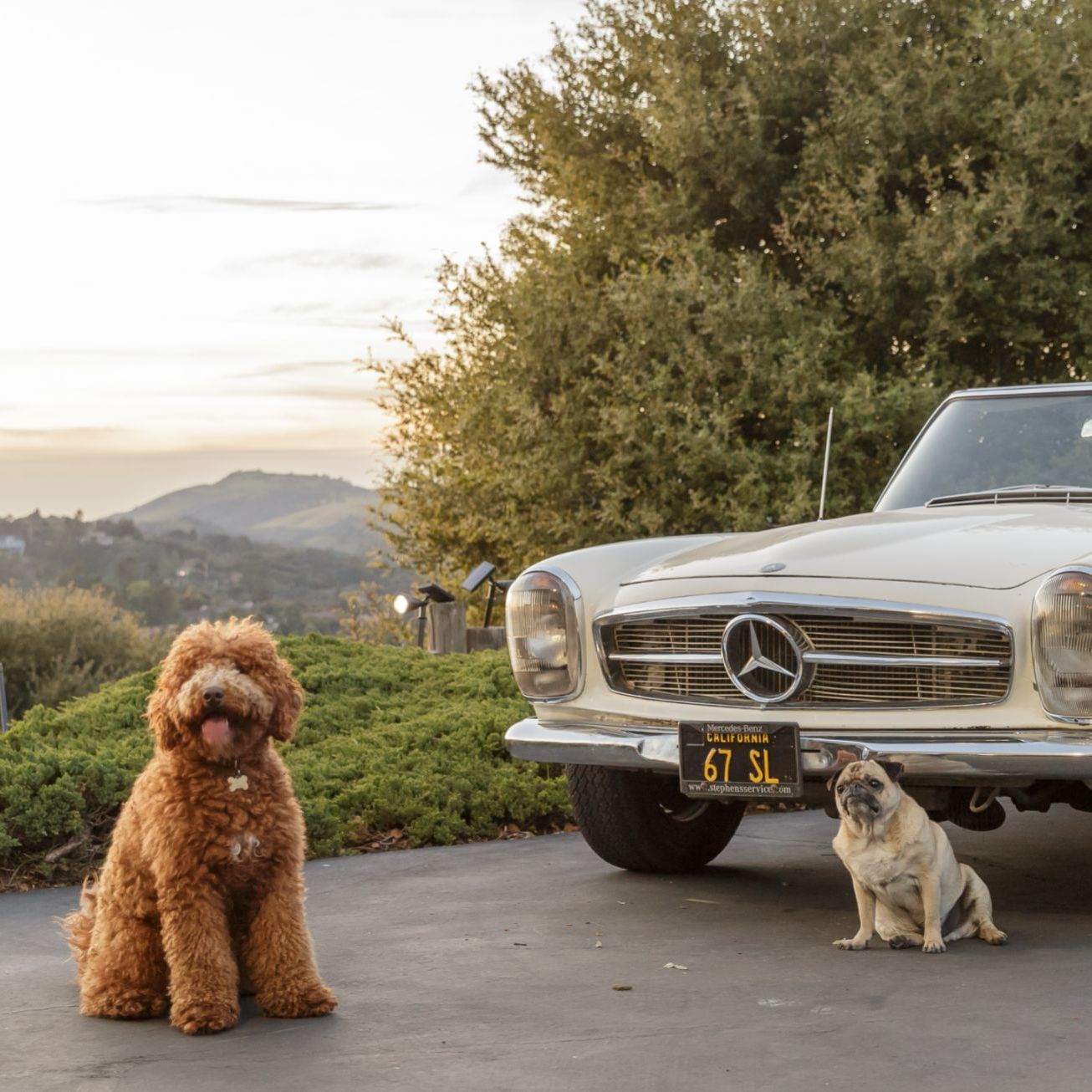 Profile of Simon Luong