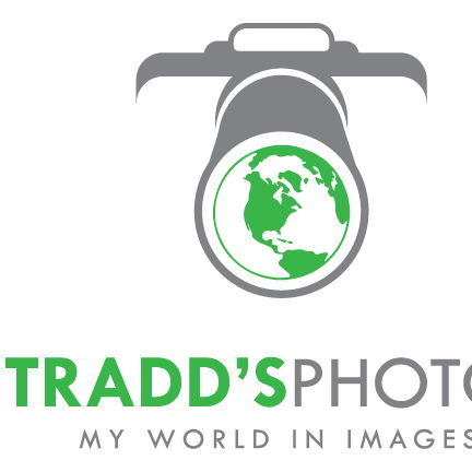 Profile of Tradd Slayton