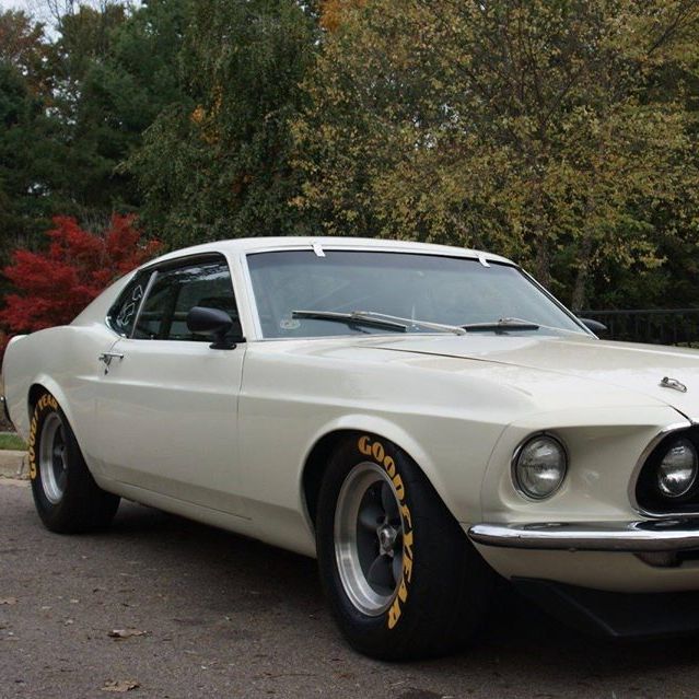 Profile of Steven Feyedelem