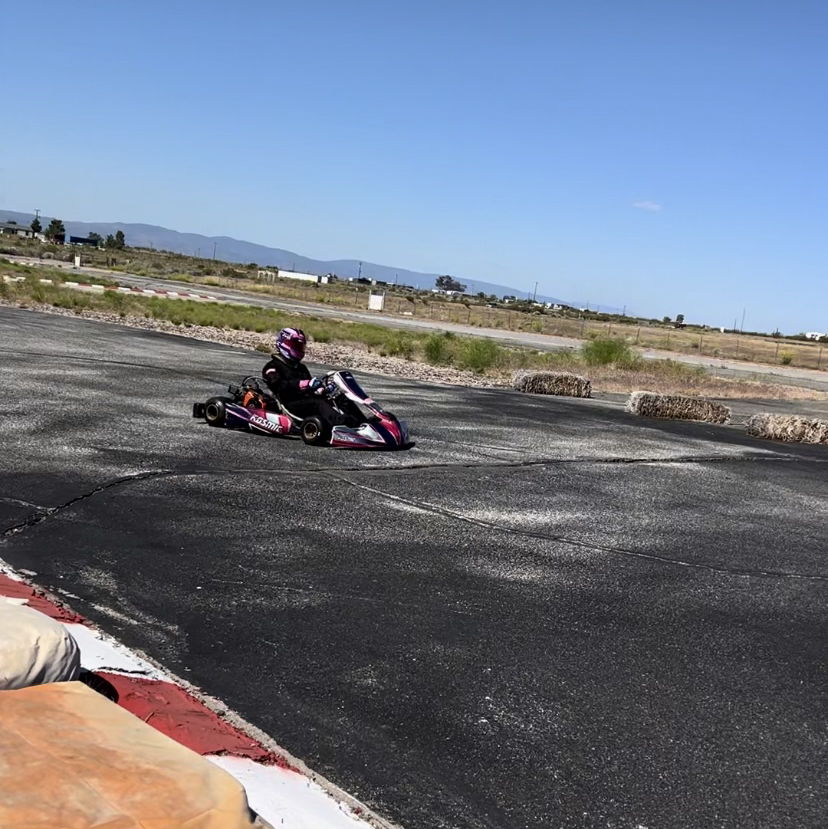 Profile of Aaron Marcus