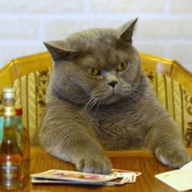 Profile of Michael Skinner