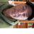 Profile of Joe Dodds