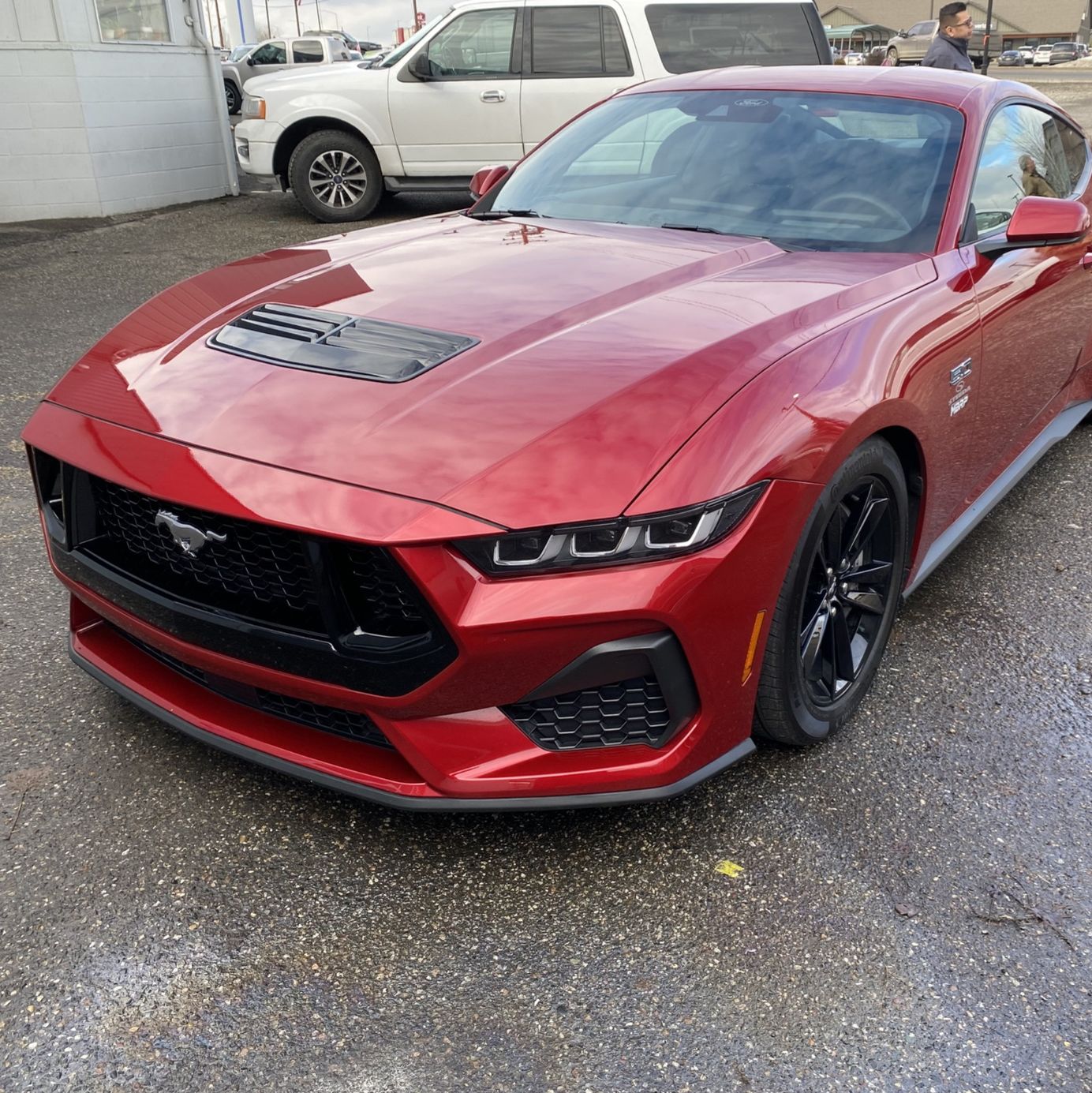 Profile of No name No name