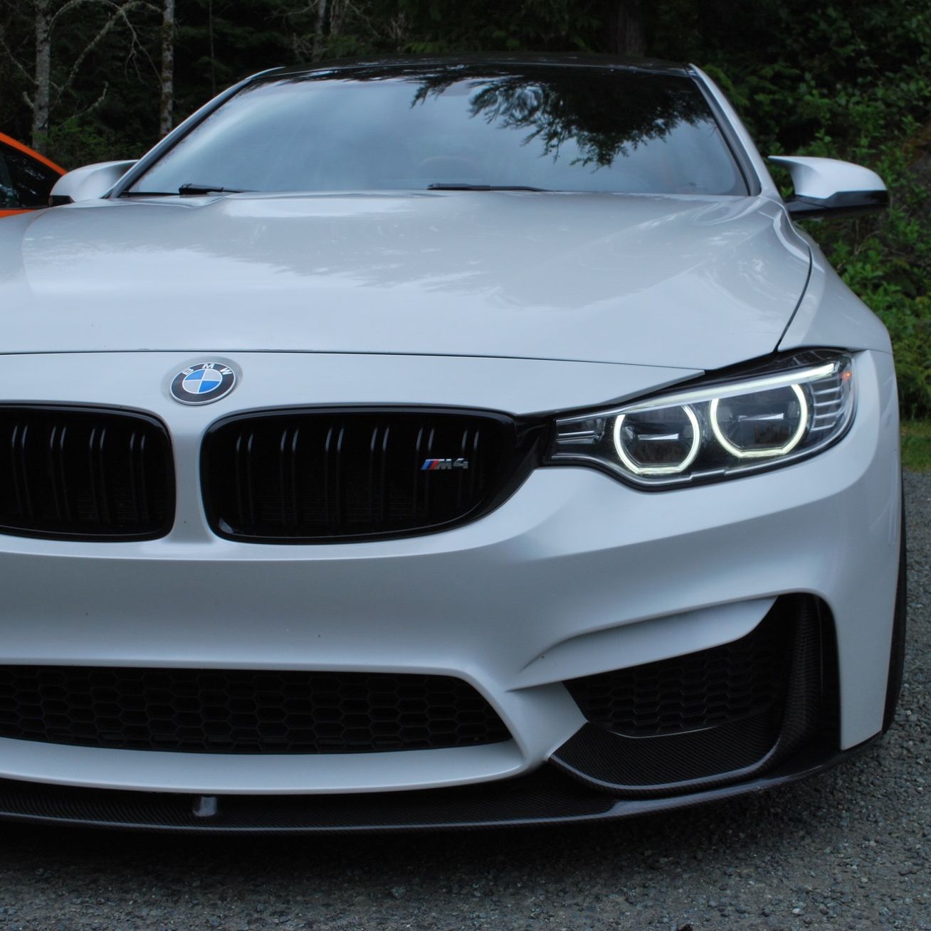 Profile of John Morales