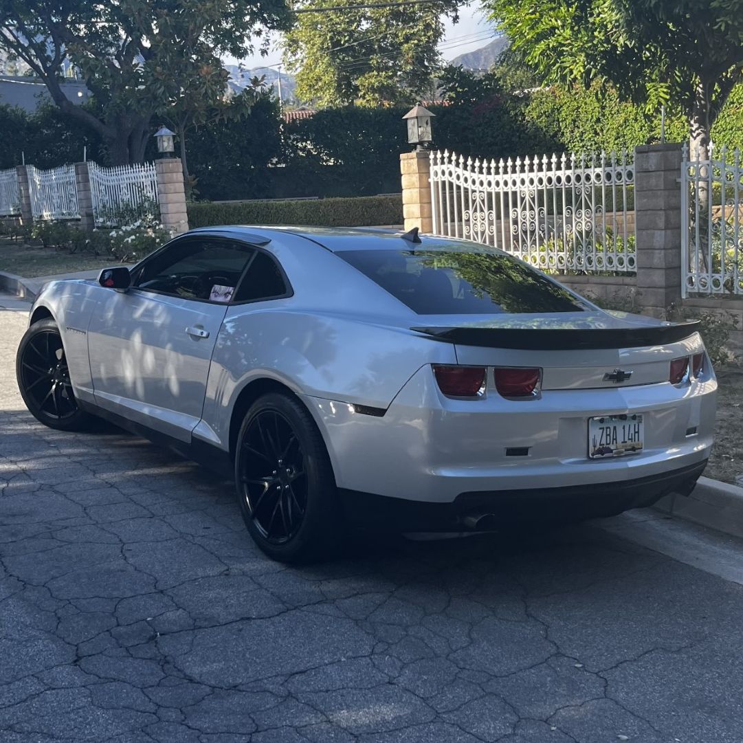 Profile of Nicholas Maldonado