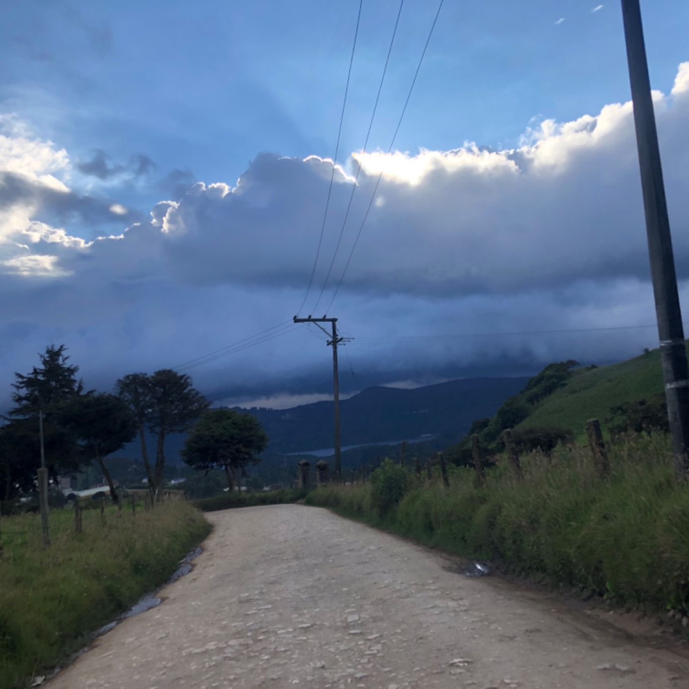 Profile of Ricky Ricardo