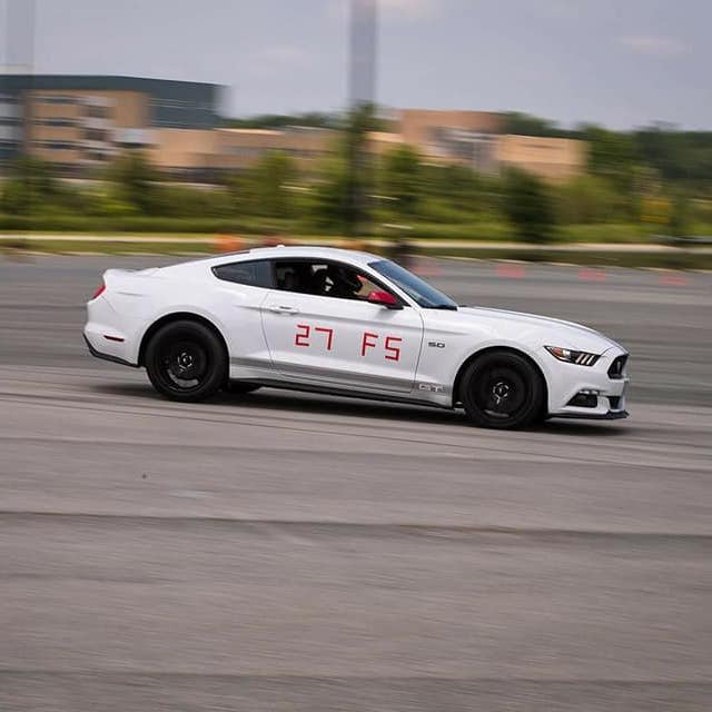 Profile of Nikki Shetty