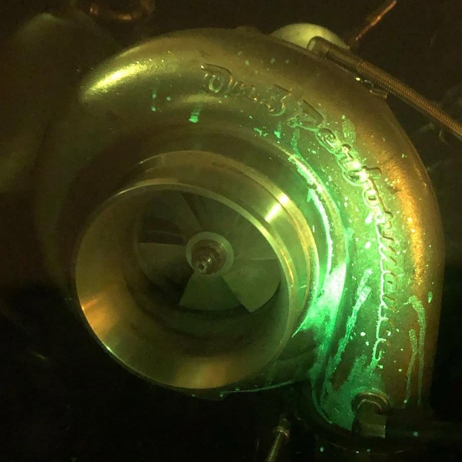 Profile of Shad Haynes