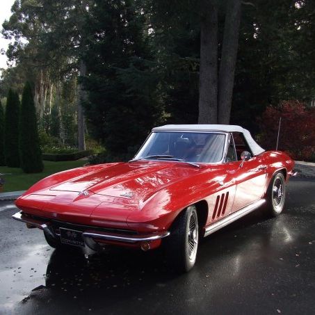 Profile of Jaclyn Pieper