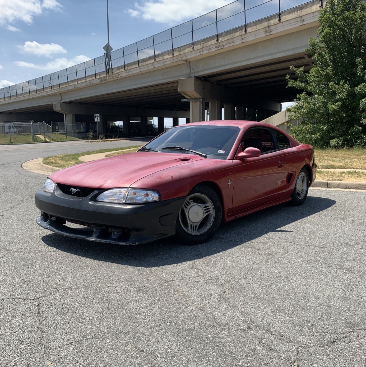 Profile of Freddy Lopez