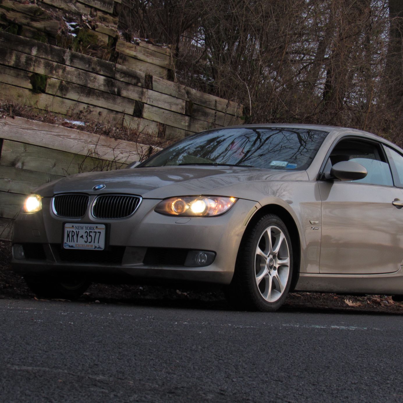 Profile of Maia Kubick