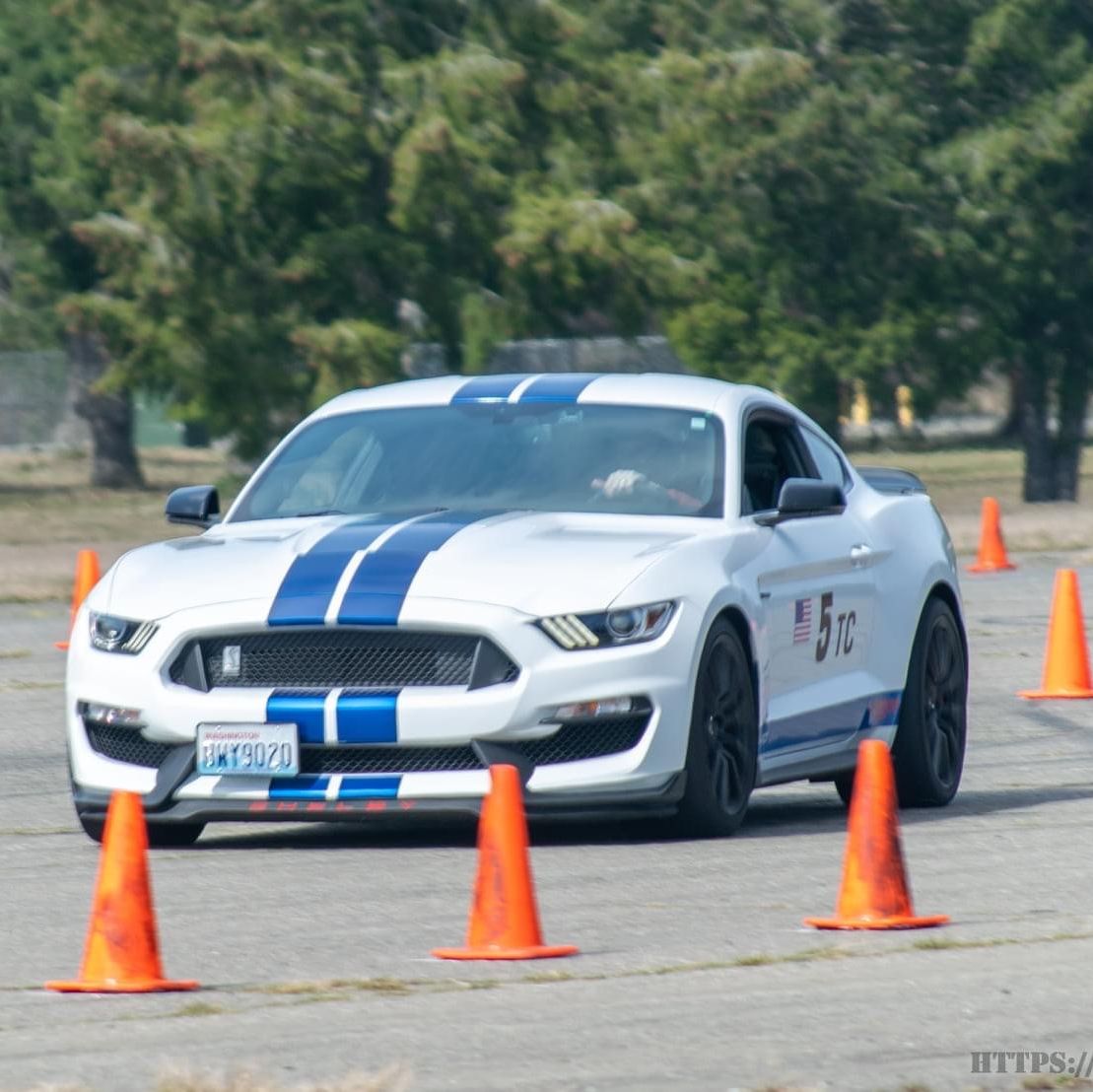 Profile of Chris Robertson